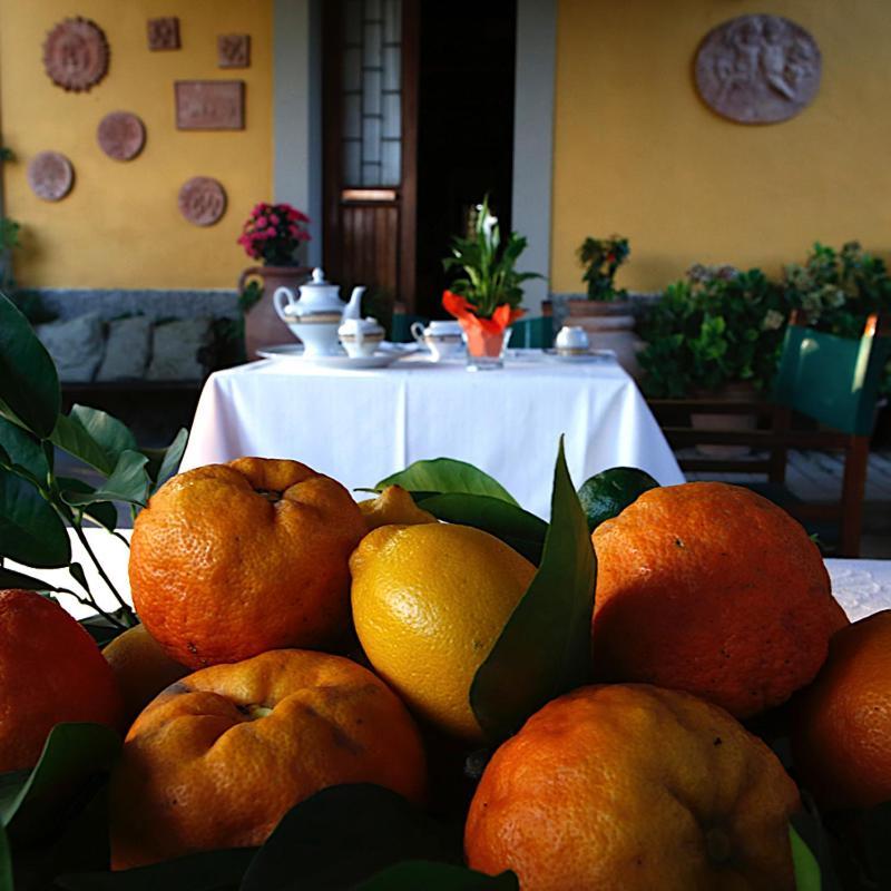Agriturismo Il Poggetto Torre Ngoại thất bức ảnh